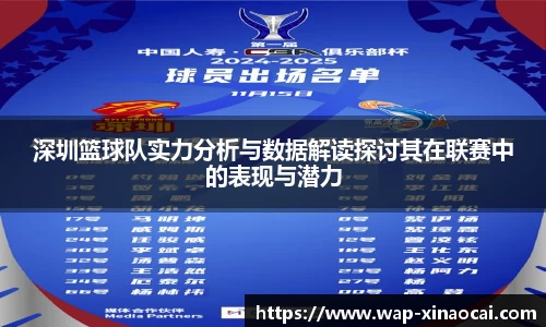 深圳篮球队实力分析与数据解读探讨其在联赛中的表现与潜力