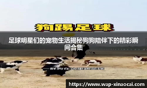 足球明星们的宠物生活揭秘狗狗陪伴下的精彩瞬间合集