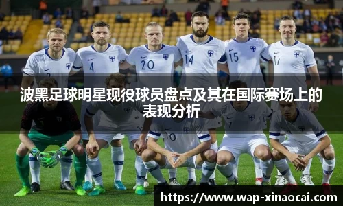 波黑足球明星现役球员盘点及其在国际赛场上的表现分析